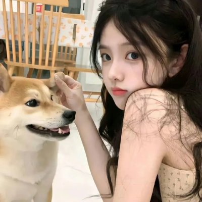 疯癫之翼